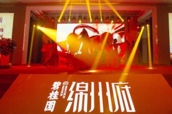 慶典、團(tuán)拜、大型會議，過年特惠